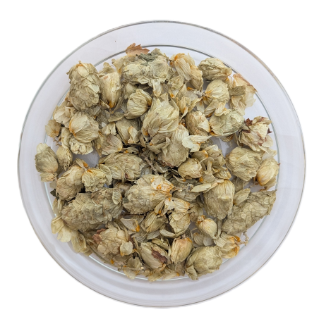 Vogelperspektive einer runden Glasschale, reichlich gefüllt mit ganzen, getrockneten grün-gelblichen Bio-Hopfenblüten (Hopfenzapfen).