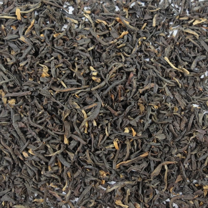Tippy Assam