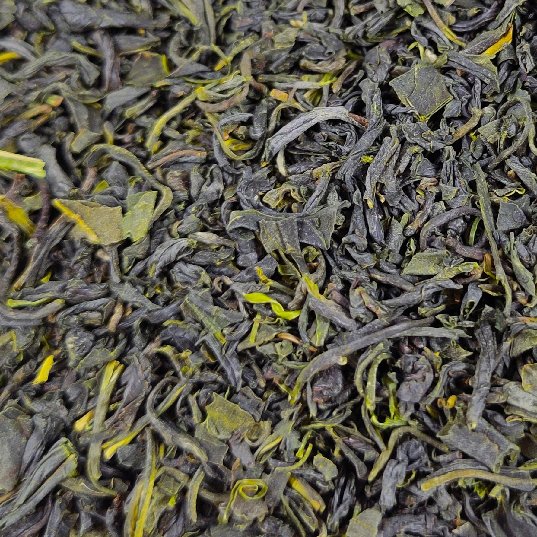 Benifuuki No.1 BIO Grüntee