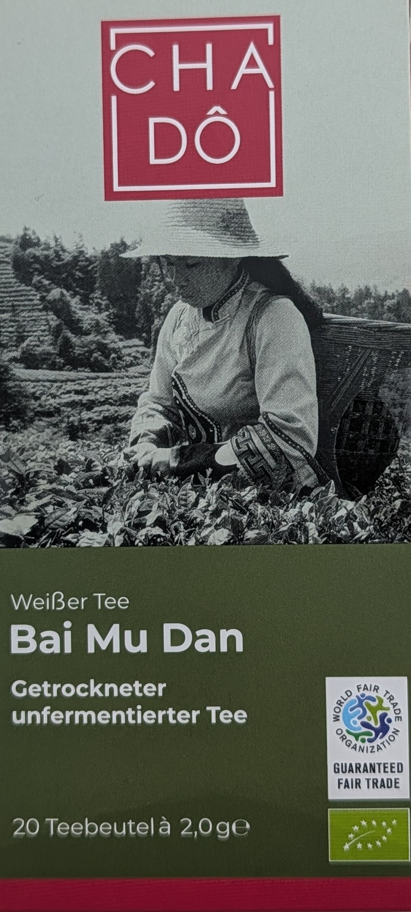 Teebeutel Weißer Tee bio