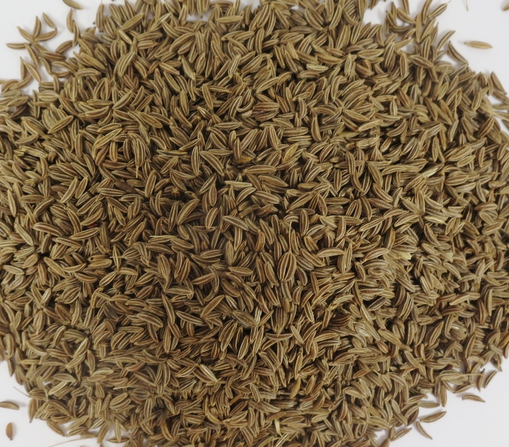 Kümmel BIO ganz