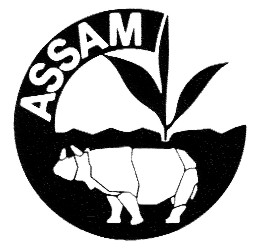 Assam CTC BIO PG-Typ - 1kg Pack