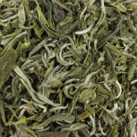 White Tea Snow Buds Special Grade BIO