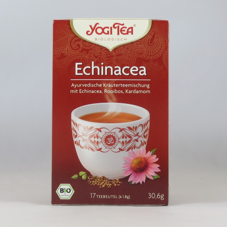 Yogi Echinacea