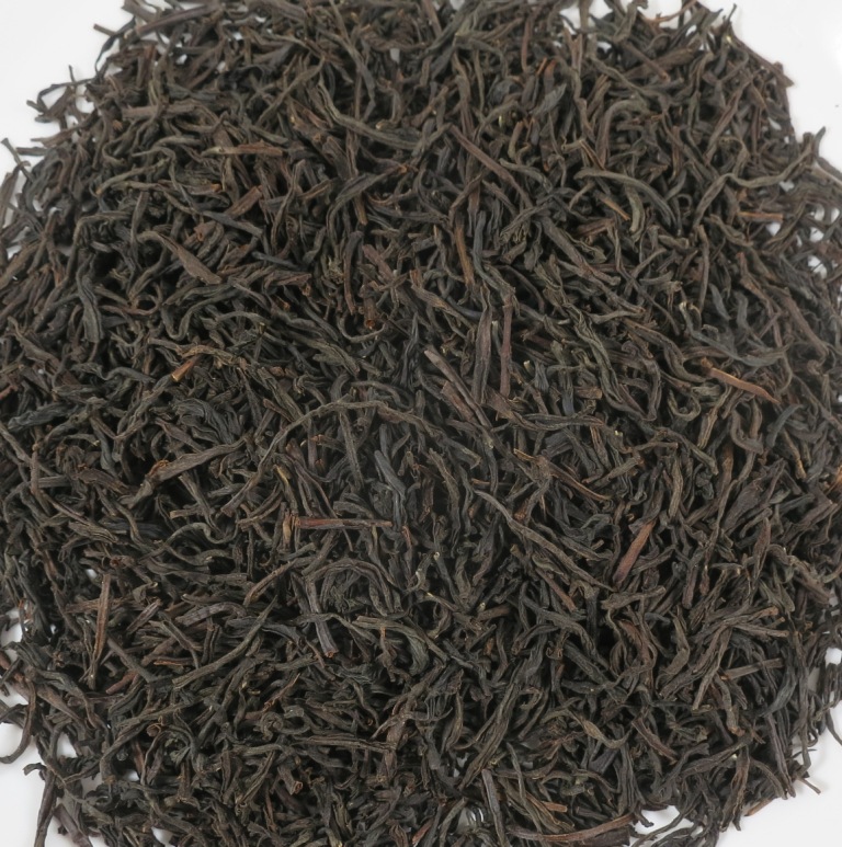 Afternoon-Tea-OP1-BIO