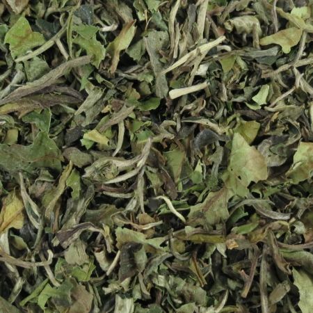 Pai-Mu-Tan-Bio Pai Mu Tan BIO