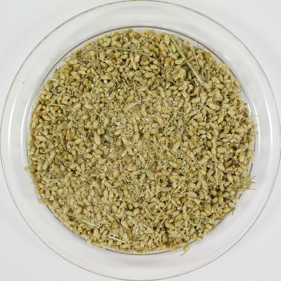 Schafgarben-Bl-uten-Bio-gerebelt Schafgarbenblüten Bio