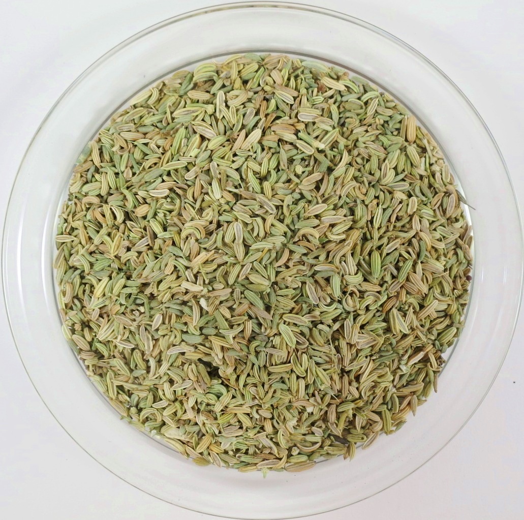 Fenchel BIO